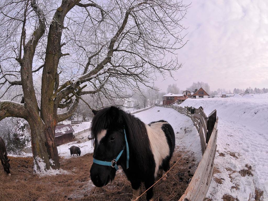 Вилла Rancho Zapotoczny Лагув Экстерьер фото